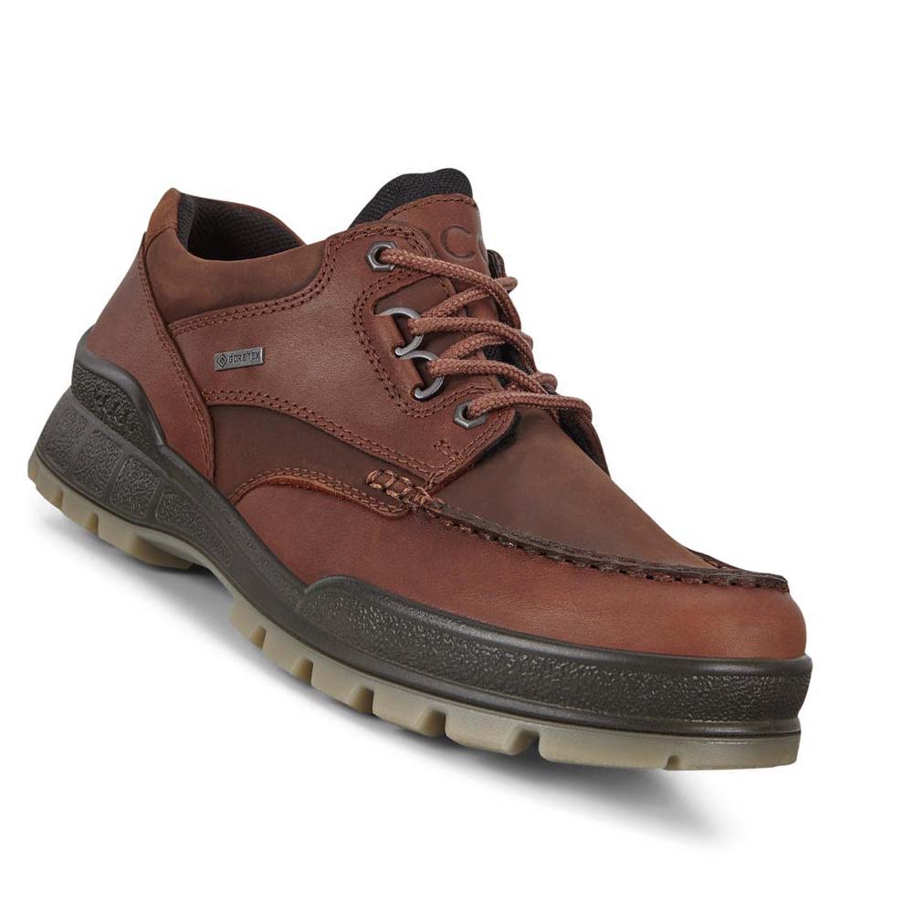 Ecco Track 25 Low Hiking & Trail Herr Vinröda | SE 572DFM